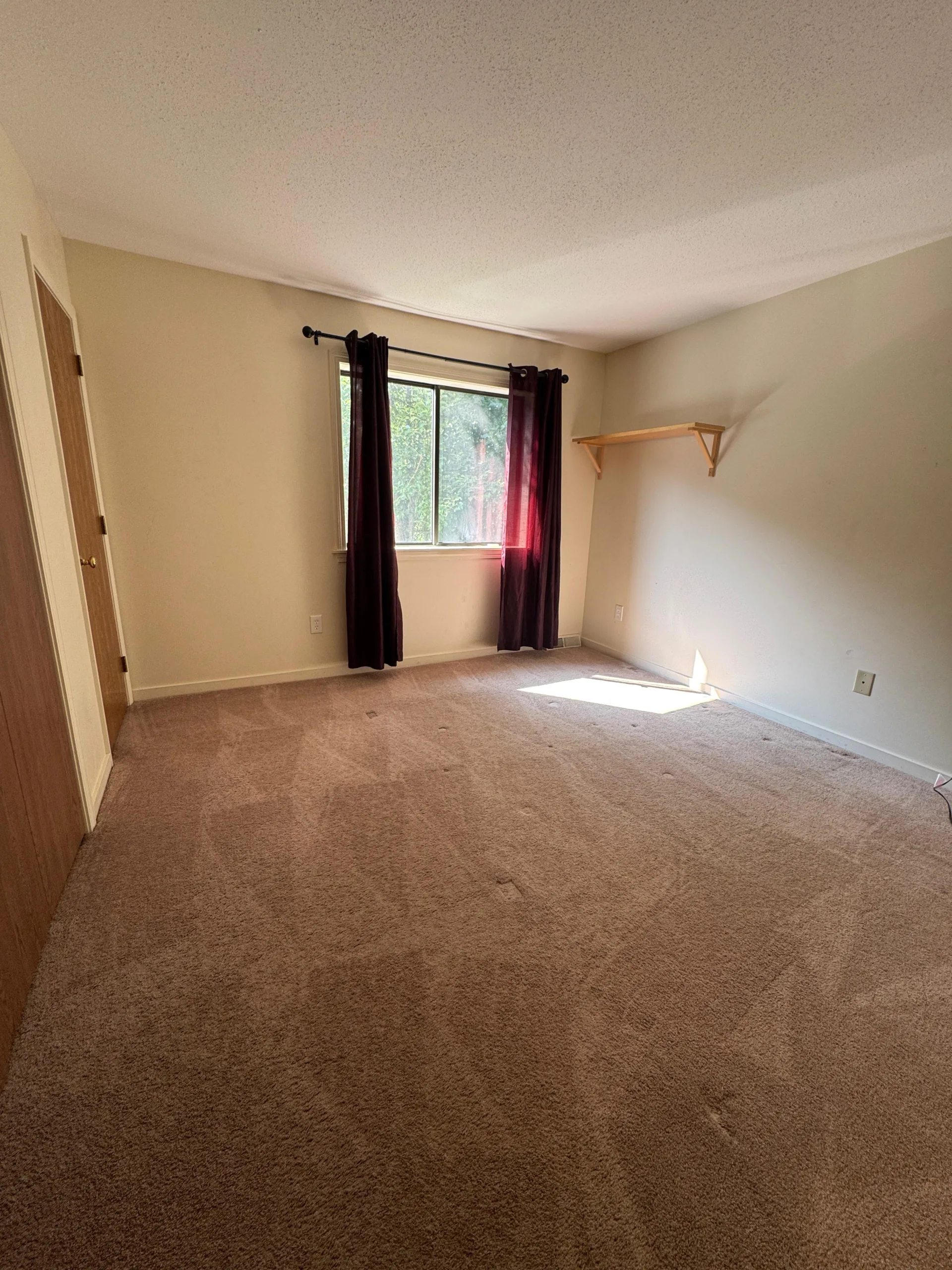 Deep carpet cleaning after process showing restored and refreshed carpet appearance